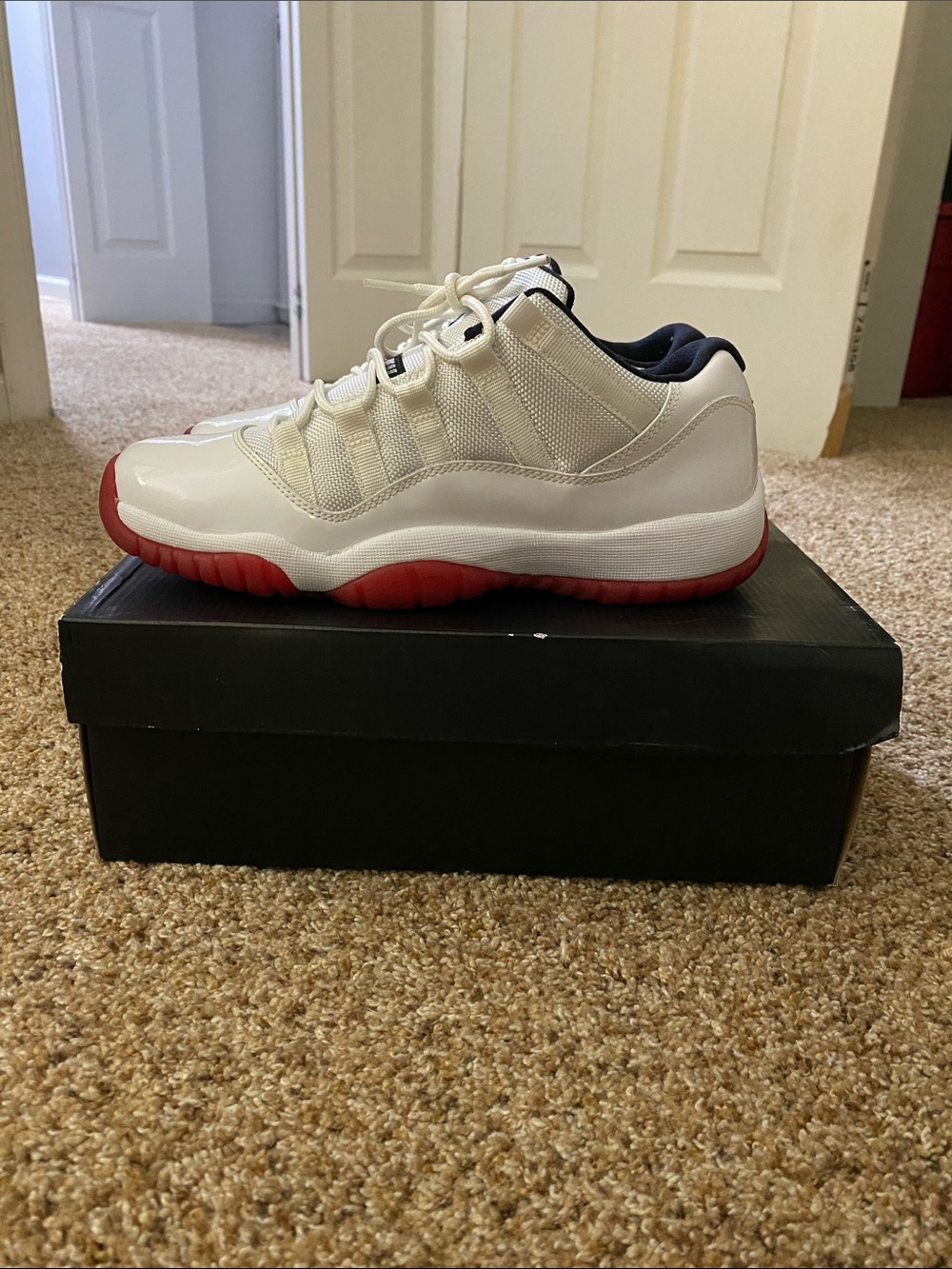 Jordan 11 retro lows
